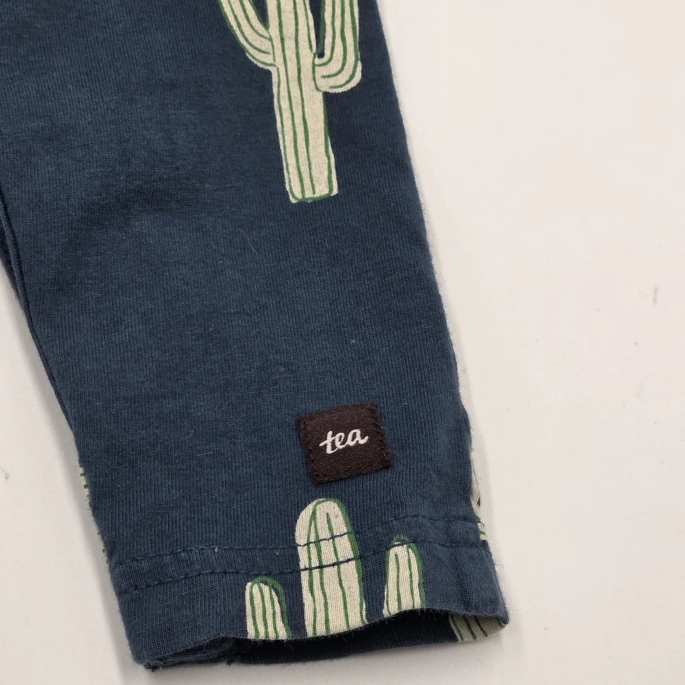 Tea Collection baby boy cactus romper size  3-6 months